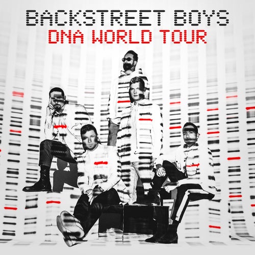 Back Street Boys DNA World Tour.